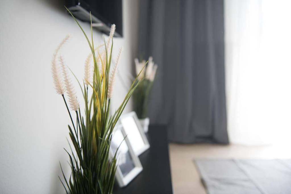 Markopoulosapartments เนอามูดาเนีย ภายนอก รูปภาพ